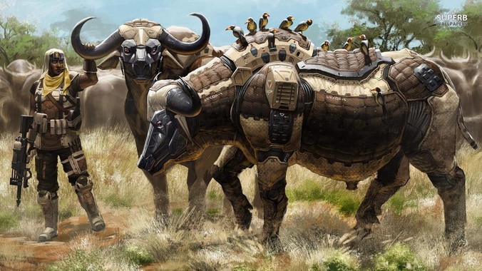 国内很多男性在非洲和当地女人恋爱是真的吗?