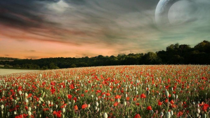 如何评价黄霄云这个人？